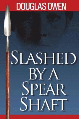 Slashed by a Spear Shaft 1