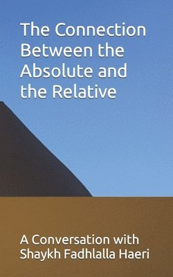 bokomslag Connection Between the Absolute and the Relative