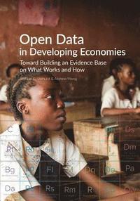 bokomslag Open data in developing economies