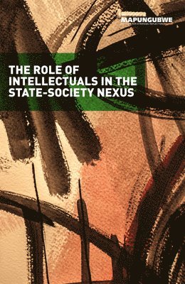 bokomslag The role of Intellectuals in the state-society nexus