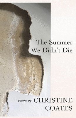 The Summer We Didn't Die 1