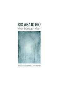 bokomslag Rio Abajo Rio