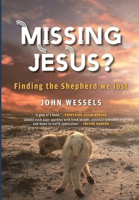 John Dalling Wessels - Missing Jesus?, Häftad