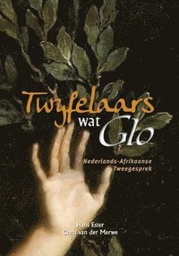 bokomslag Twyfelaars wat Glo: 'n Nederlands-Afrikaanse Tweegesprek