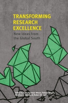 Erika Kraemer-Mbula, Robert Tijssen, Matthew L Wallace - Transforming Research Excellence, Häftad