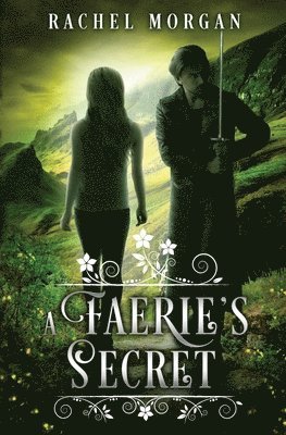 bokomslag Faerie's Secret