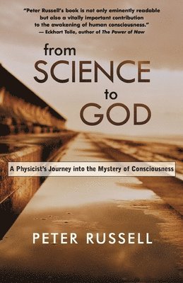 bokomslag From Science to God: A Physicist's Journey Into the Mystery of Consciousness