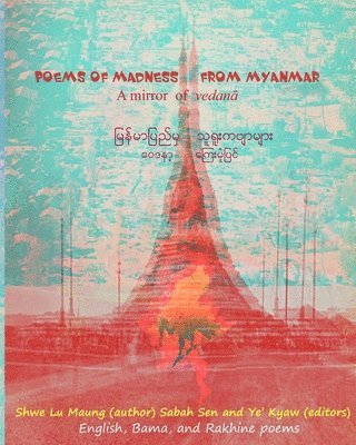 bokomslag Poems of Madness from Myanmar