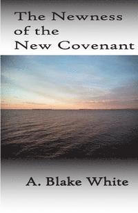 bokomslag The Newness Of The New Covenant