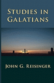 bokomslag Studies in Galatians