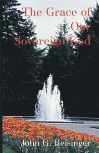 bokomslag The Grace of Our Sovereign God