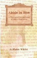 bokomslag Abide in Him: A Theological Interpretation of John's First Letter