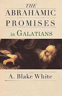 bokomslag The Abrahamic Promises in Galatians