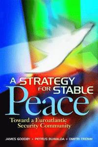 bokomslag A Strategy for Stable Peace