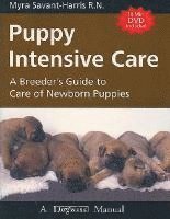 bokomslag Puppy Intensive Care