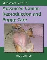 bokomslag Advanced Canine Reproduction and Puppy Care