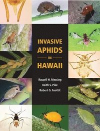 bokomslag Invasive Aphids in Hawaii