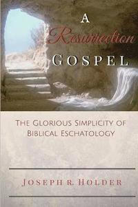 bokomslag A Resurrection Gospel
