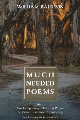 bokomslag Much Needed Poems