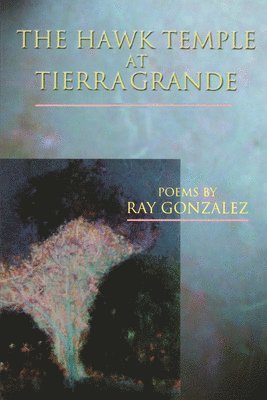 Ray Gonzalez - The Hawk Temple at Tierra Grande, Häftad