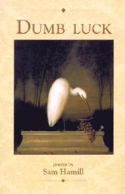 Sam Hamill - Dumb Luck, Häftad