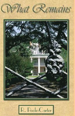 Rosemary Poole-Carter - What Remains, Häftad