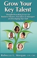 bokomslag Grow Your Key Talent: Thought-Provoking Essays for Business Owners, Executives and Managers on Developing Star Staff