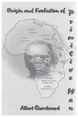 bokomslag Origin and Evolution Of Primitive Man