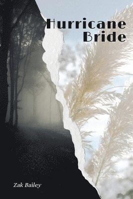 Hurricane Bride 1