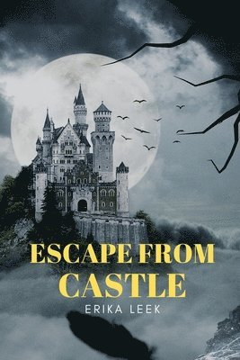 bokomslag Escape from castle