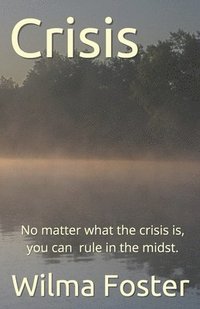 bokomslag Crisis