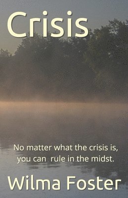 bokomslag Crisis