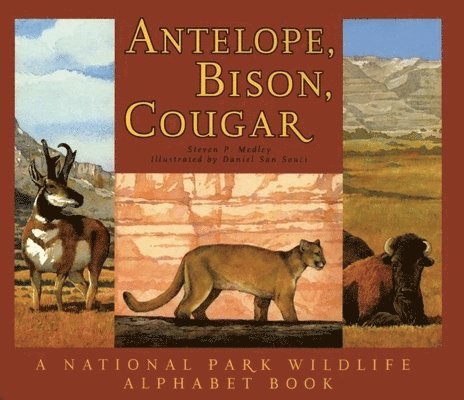 Antelope, Bison, Cougar 1