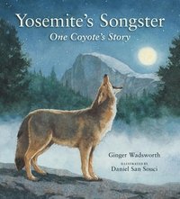 bokomslag Yosemite's Songster