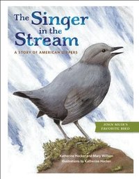 bokomslag The Singer in the Stream