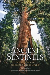 bokomslag Ancient Sentinels: The Sequoias of Yosemite National Park