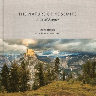 bokomslag Nature of Yosemite