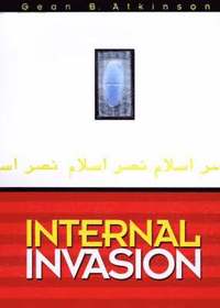 bokomslag Internal Invasion