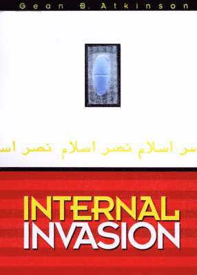 bokomslag Internal Invasion