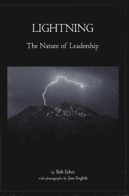 bokomslag Lightning: The Nature of Leadership