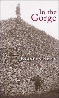 Brandon Krieg - In the Gorge, Häftad