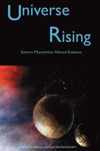 bokomslag Universe Rising