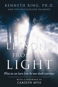 bokomslag Lesson from the Light