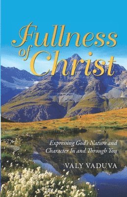 bokomslag Fullness of Christ