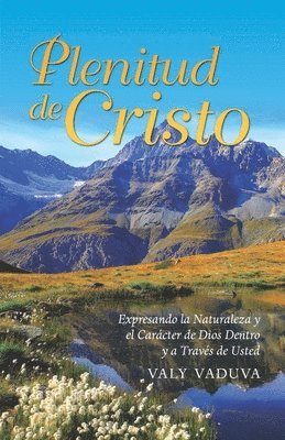 bokomslag Plenitud de Cristo