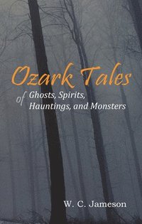 bokomslag Ozark Tales of Ghosts, Spirits, Hauntings and Monsters