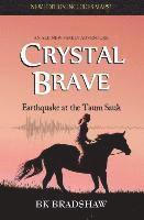 bokomslag Crystal Brave: Earthquake at the Taum Sauk
