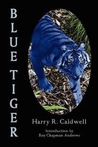 bokomslag Blue Tiger