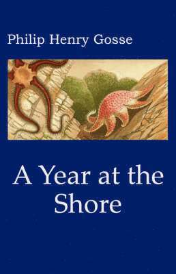 Gosse's a Year at the Shore 1