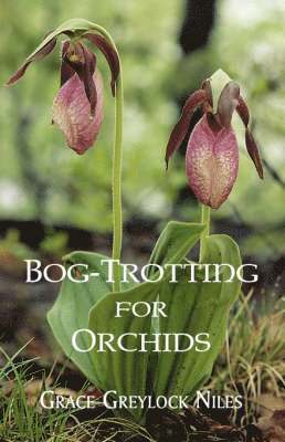 Bog-Trotting for Orchids 1